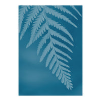 Pteridopsida 2 (Print Only)