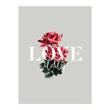 Love Wildly (Print Only) thumbnail