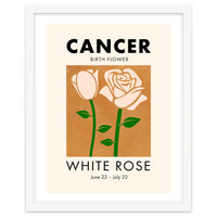 Cancer Birth Flower White Rose