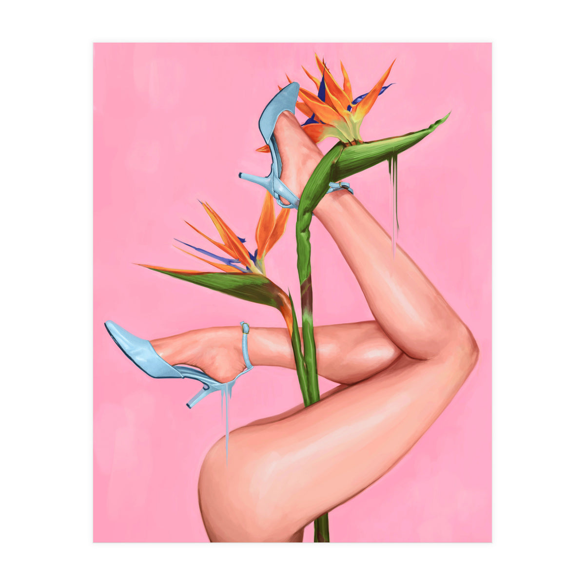 Bird Of Paradise (Print Only)