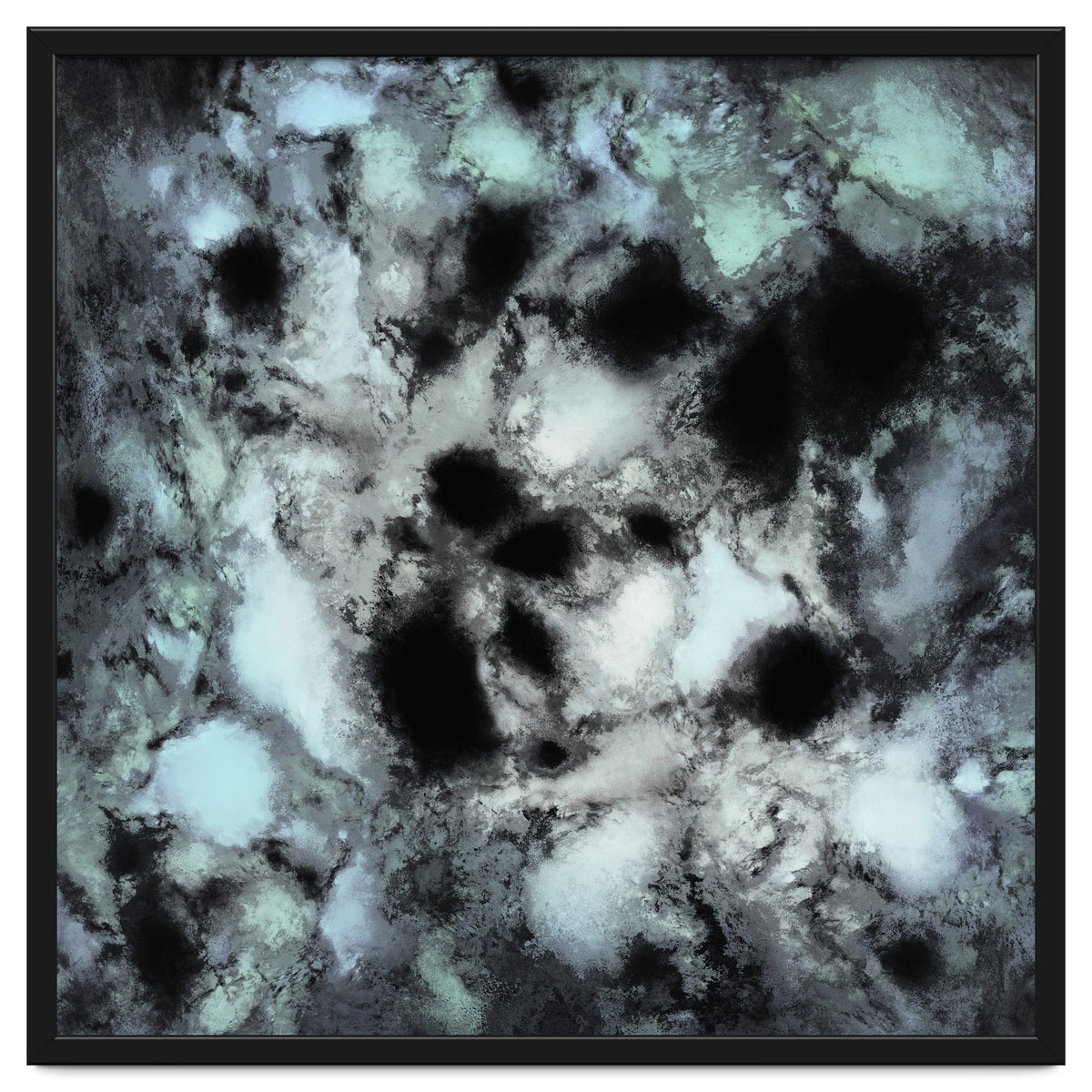 Searching For Animal Tracks