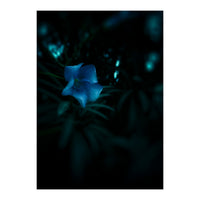 Shining Blue Floral (Print Only)
