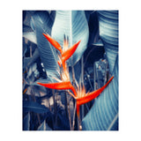 Parakeet Tropical Flower (Print Only) thumbnail