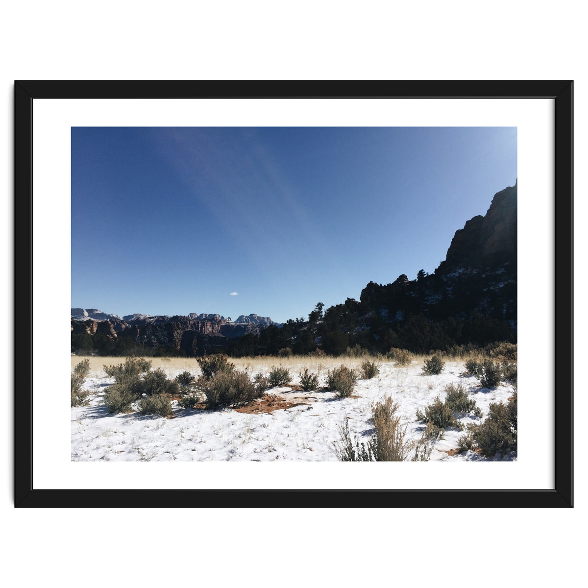 Zion National Park II