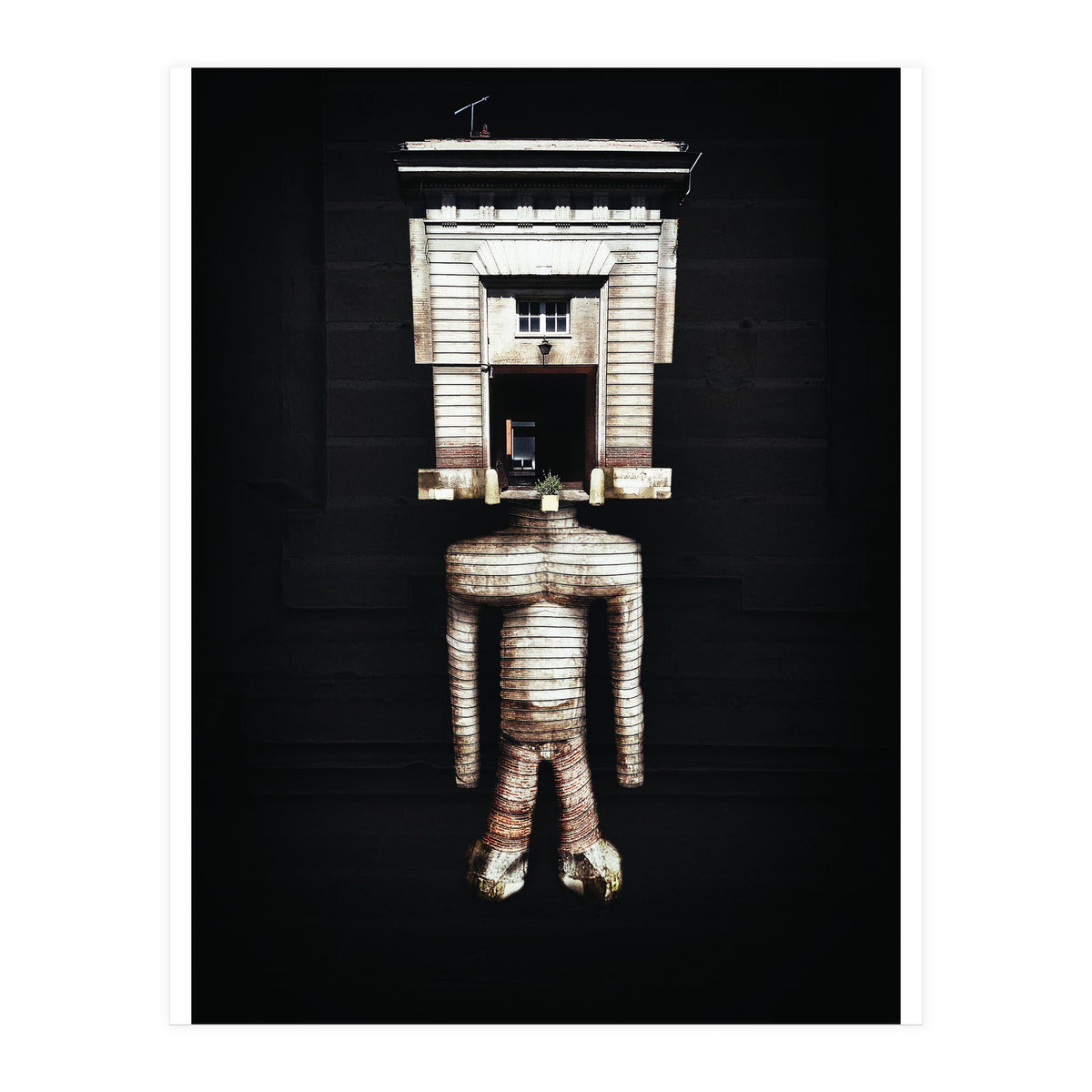 VooDooTooL - Jujia (Print Only)