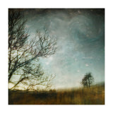 The Tree That Whispered (Print Only) thumbnail