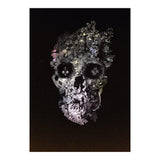 Metamorphosis  (Print Only) thumbnail