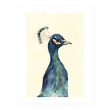Peacock (Print Only) thumbnail
