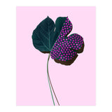 foglia (Print Only) thumbnail