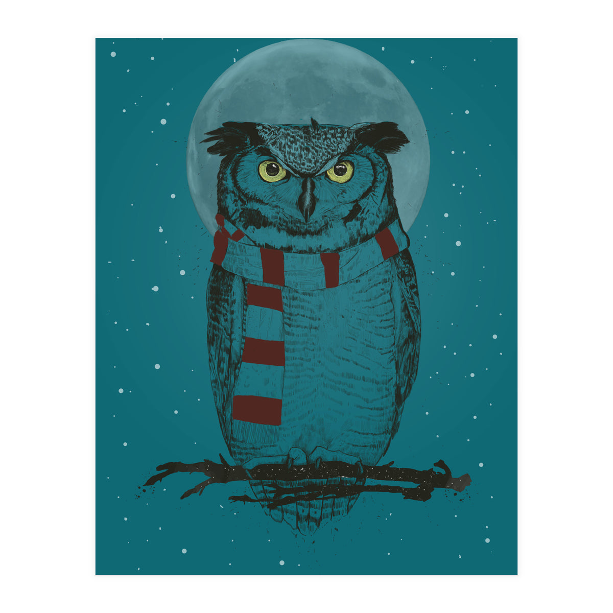 Winter Owl II (Print Only)