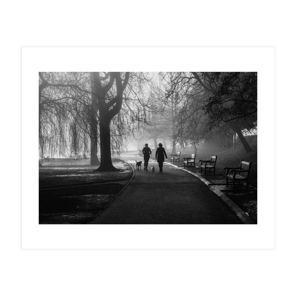 Misty Morning (Print Only)