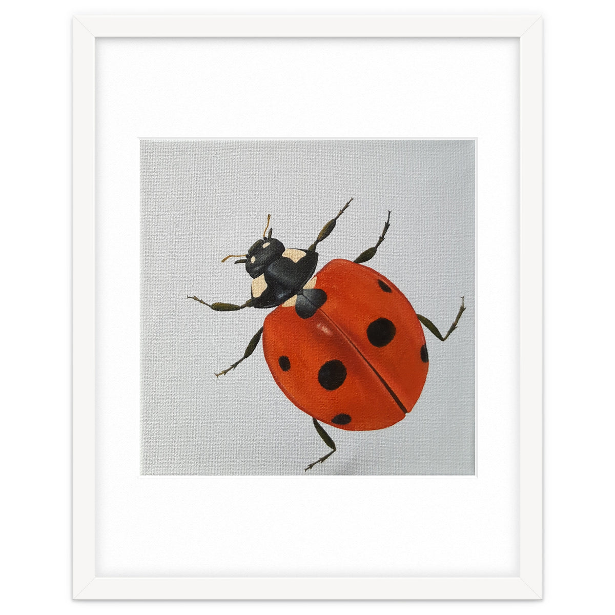 Ladybird