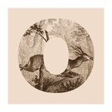 Oh Deer (Print Only) thumbnail