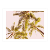 Blush Pink Boho Palm Trees (Print Only) thumbnail