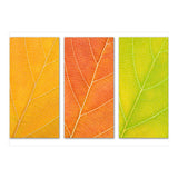 Autumn Leaves (Print Only) thumbnail