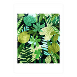 Rainforest Ii (Print Only) thumbnail