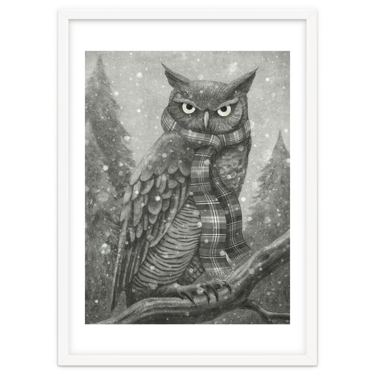 Winter Owl