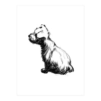 Little Dog (Print Only)