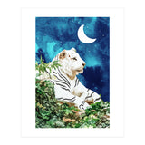 Moonbath (Print Only) thumbnail