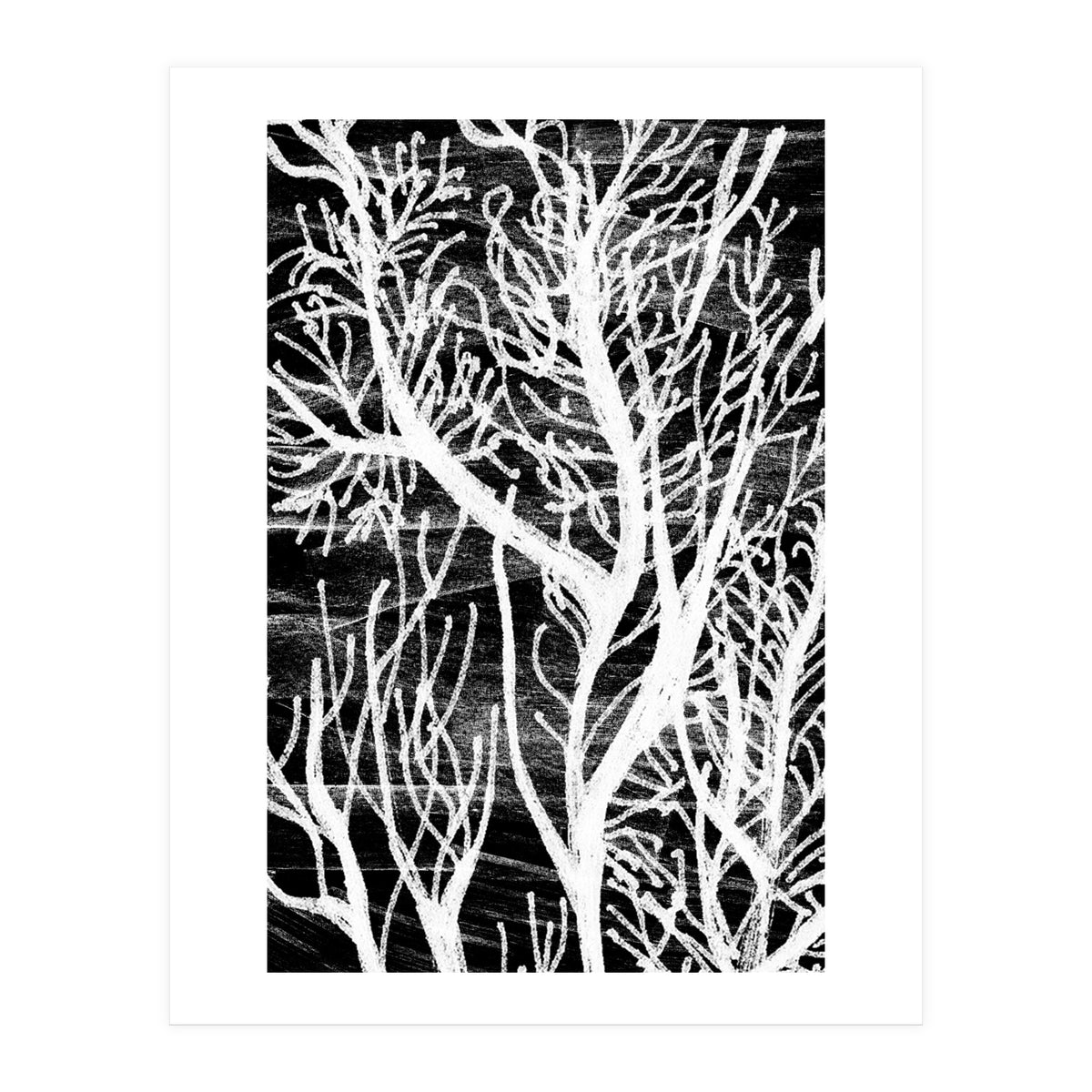 Desert Colours Collection 5 (Print Only)