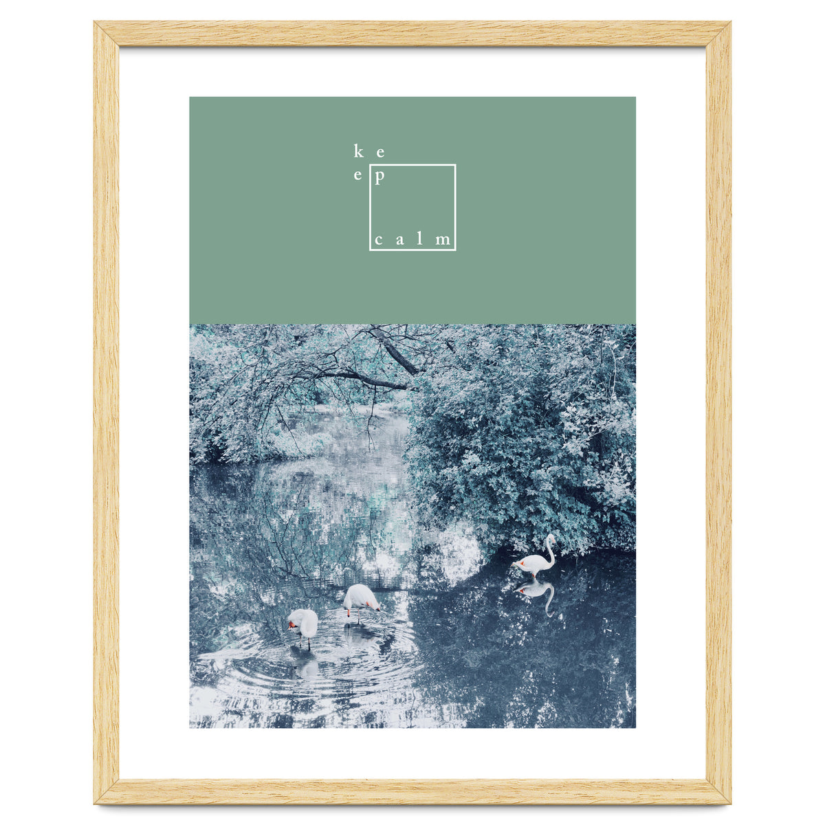 Flamingos - keep calm