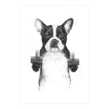 Censored Dog (Print Only) thumbnail