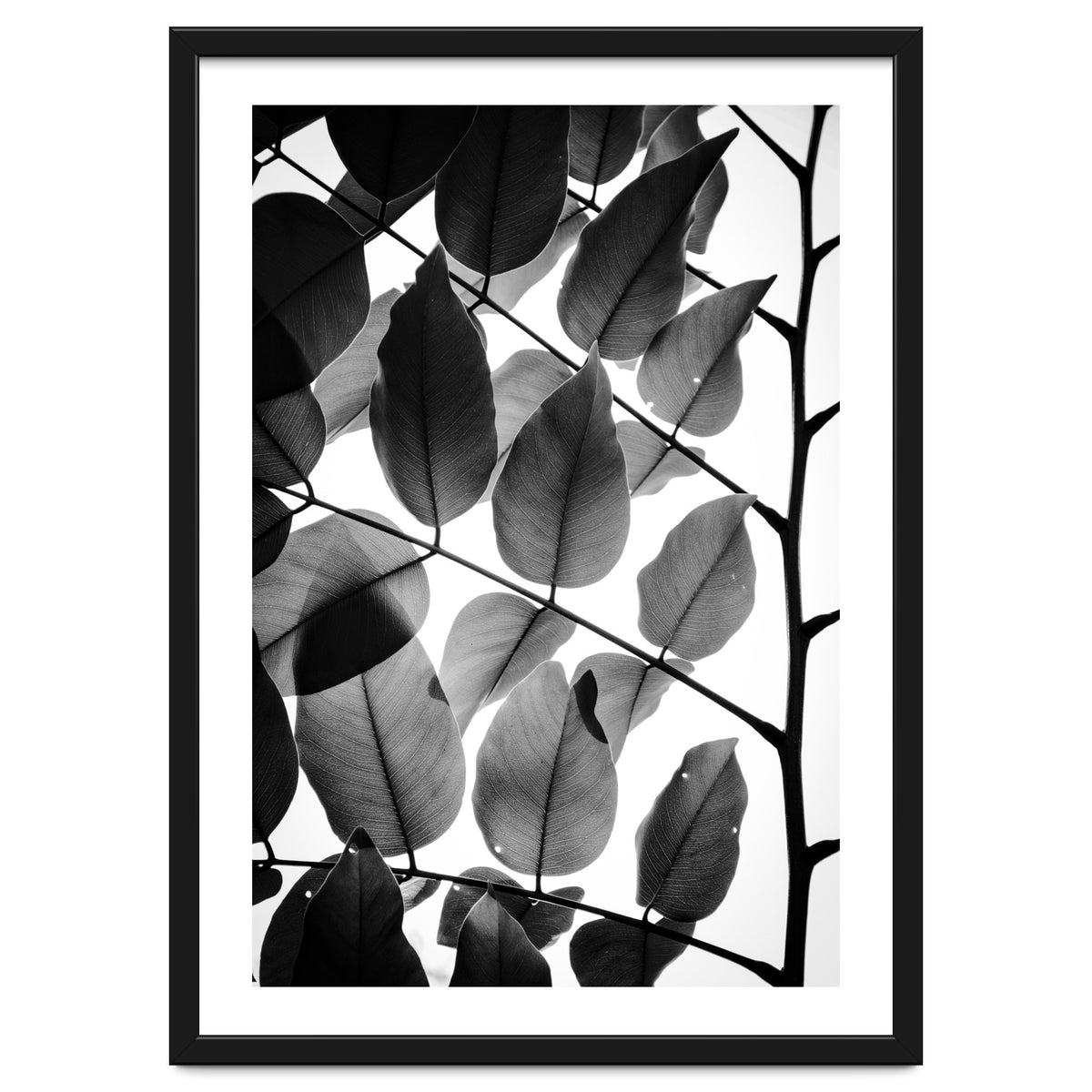 Branches and Leaves II