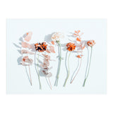 Minima (Print Only) thumbnail