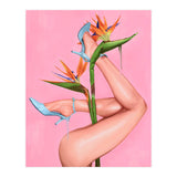 Bird Of Paradise (Print Only) thumbnail