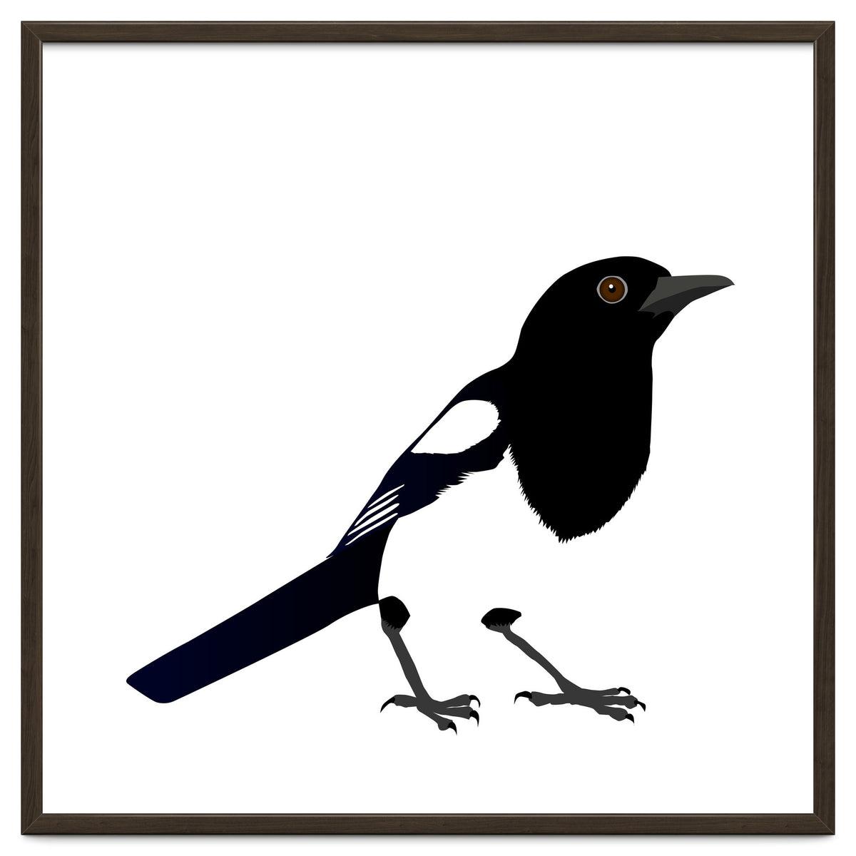 Magpie