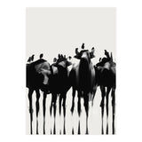 Bufalo  (Print Only) thumbnail