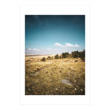 Dartmoor  (Print Only) thumbnail