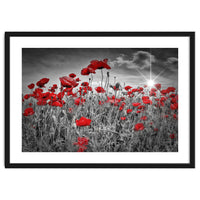 Idyllic Field of Poppies with Sun