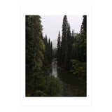 Evergreen State (Print Only) thumbnail