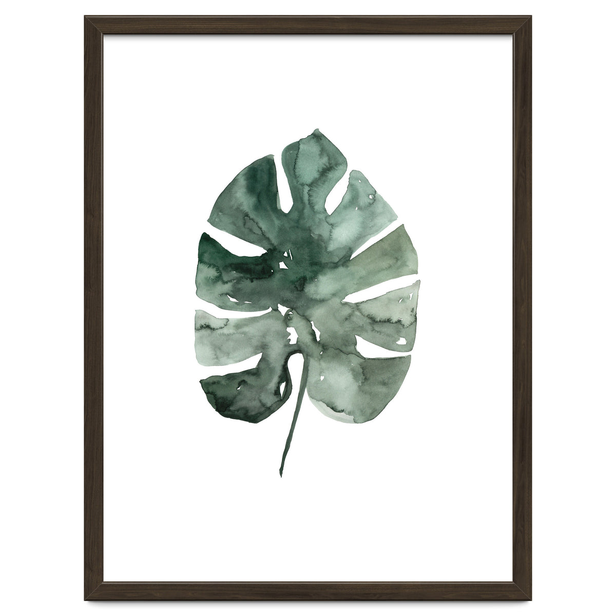 Botanical Illustration Monstera Leaf