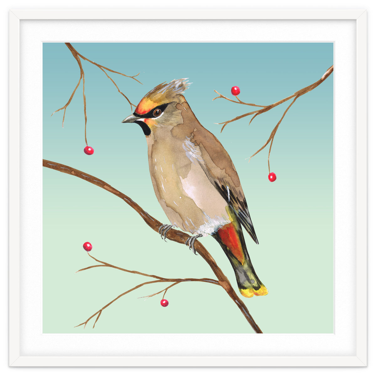 Bohemian waxwing