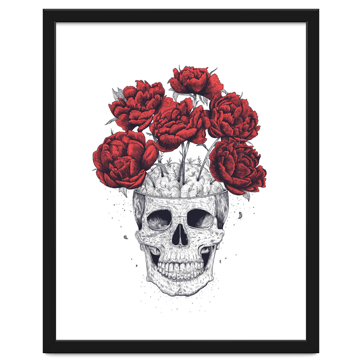 Skull With Peonies