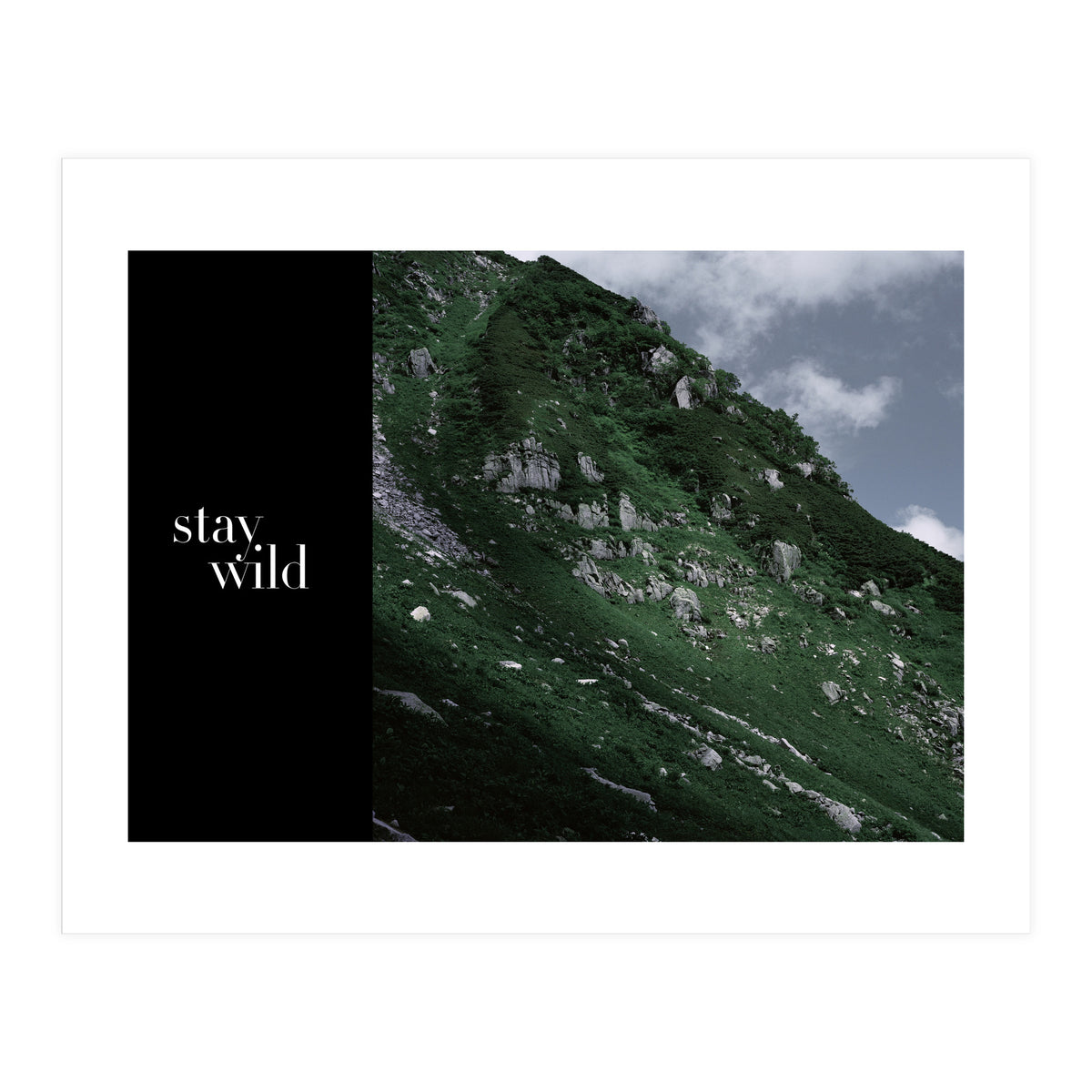 stay wild  (Print Only)