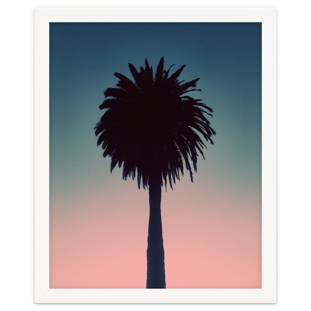 Sundown Palm