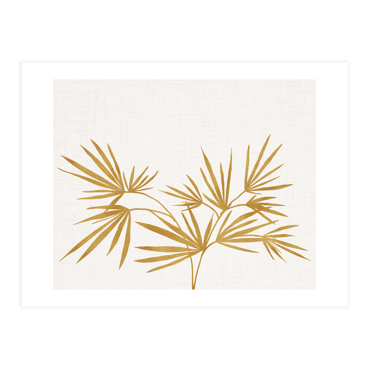 Golden Fan Palm (Print Only)