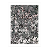Fashion II (Print Only) thumbnail