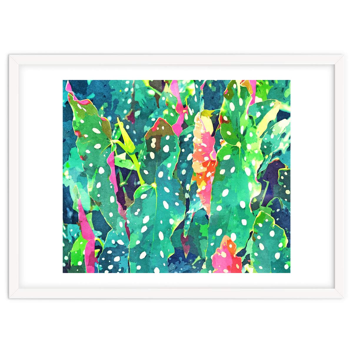 The Polka Dots Plant