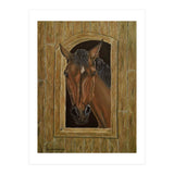 Inquisitive (Print Only) thumbnail