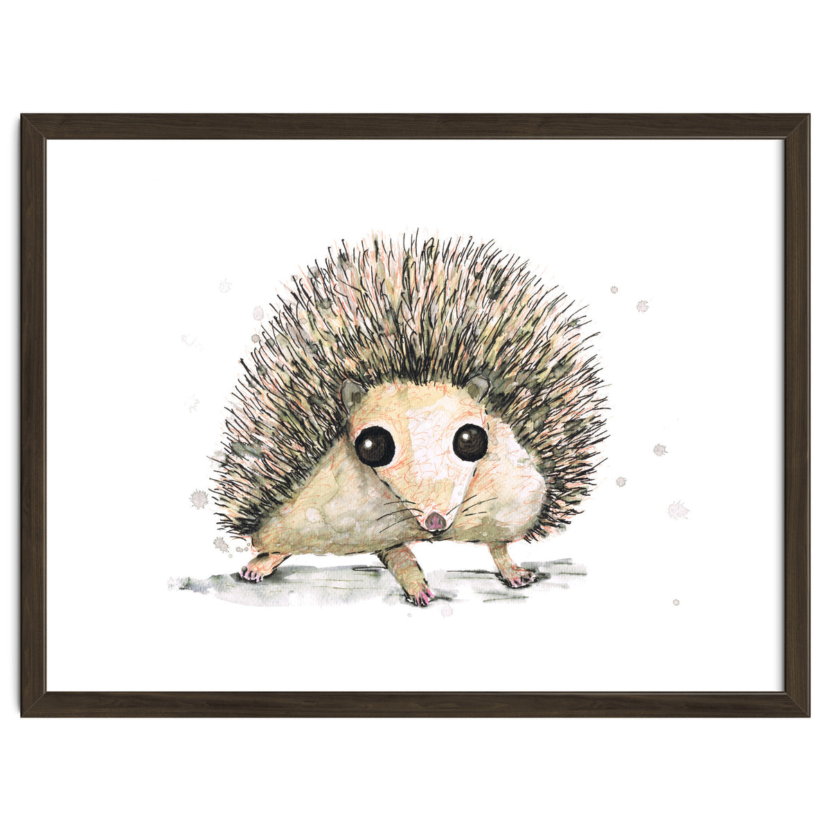 Hedgehog