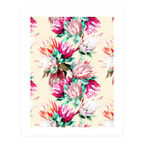 King proteas bloom II (Print Only) thumbnail