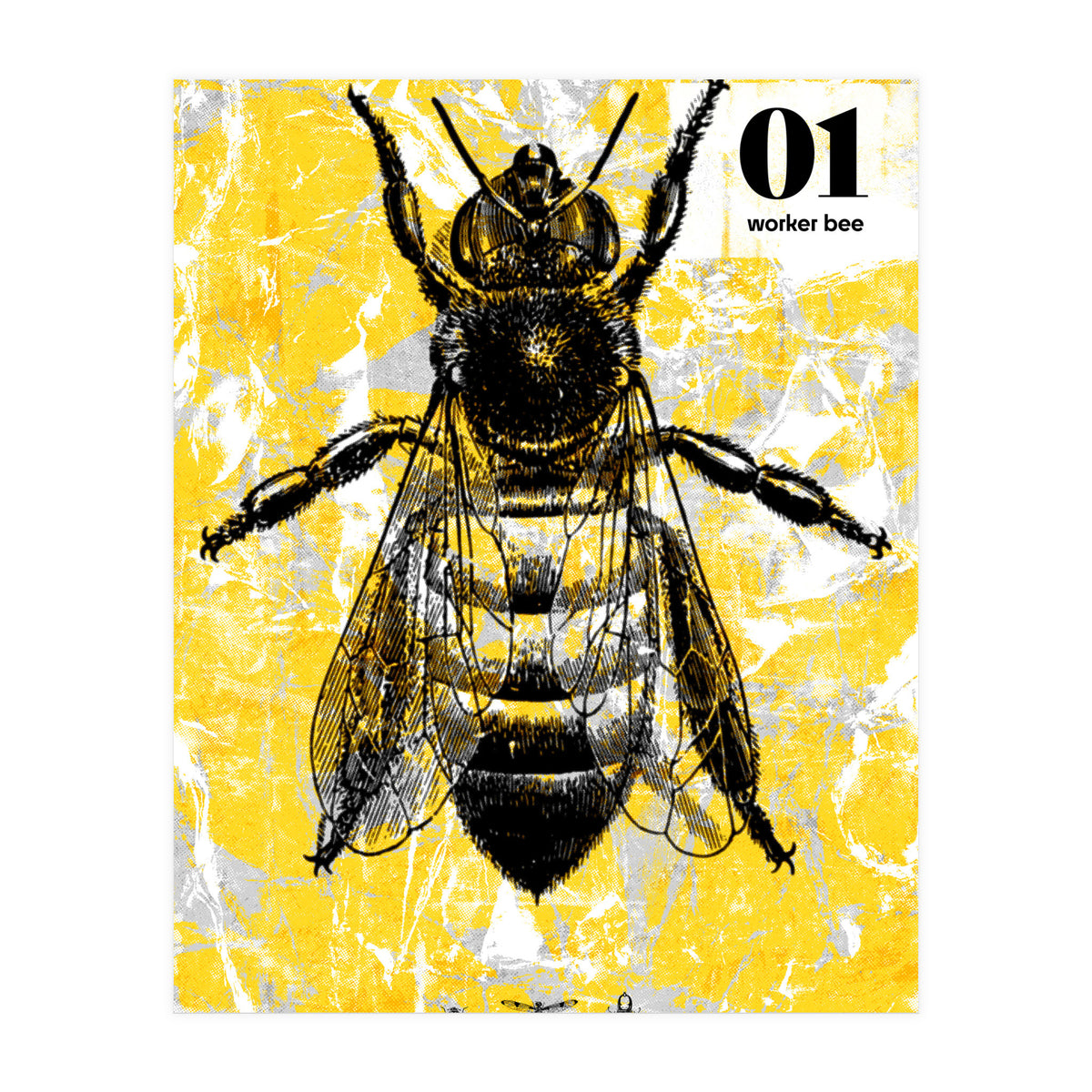 Bugs 1  (Print Only)