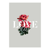 Love Wildly (Print Only) thumbnail