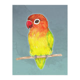 Cute yellow Fischer's lovebird (Print Only) thumbnail