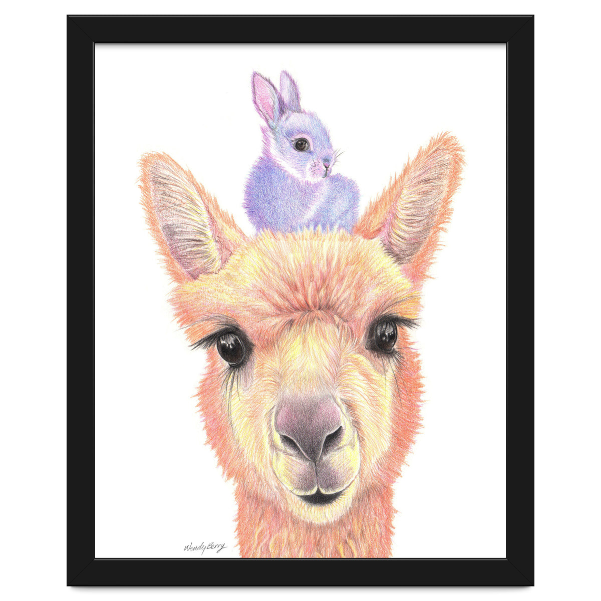 Alpaca and Bunny