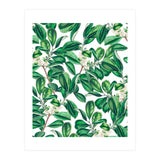Botanica (Print Only) thumbnail